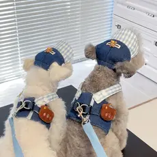 [NOVO]Conjunto De Trela Para Cachorro Gato Roupas De Verão