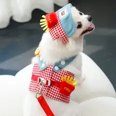 Conjunto De Trela Para Cachorro Gato Roupas De Verão