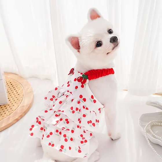 Modelo de bolo Vestidos de animais de estimação Cães E Gatos Verão fresco