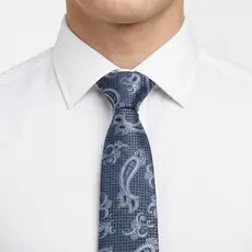 Gravata Masculina Paisley Jacquard Estampada Social Casamento Festa Noivo Padrinho Formatura Elegante