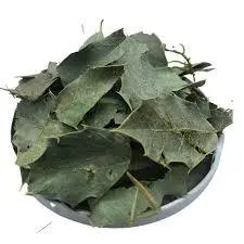 Chá Digestivo Natural Espinheira Santa Maytenus
