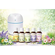 Kit Mini Umidificador Difusor Aromatizador Ambiente Egg com Essências | 1 Umidificador + 5 Essências