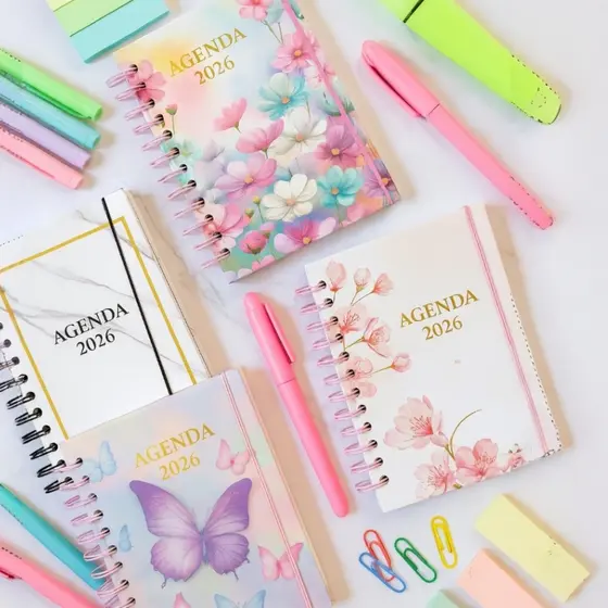 Agenda 2026 e 2027 Espiral Diária Planner Colorida Estampado 19cmx13,5cm Feminina Calendário Borboleta 168 Folhas