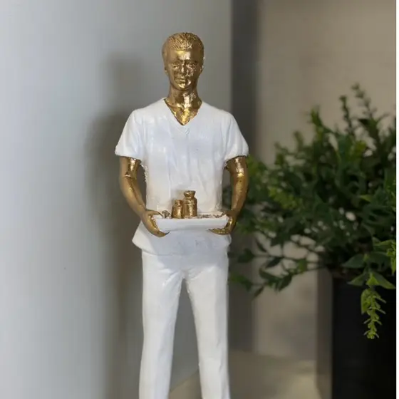 Escultura Estatua Enfermeiro Profissão Enfermagem | Presente Decorativo Carinho Amor Luxo Dedicação
