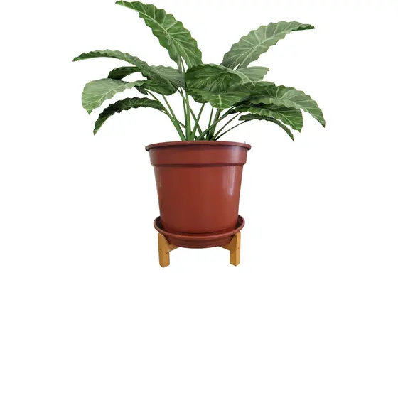 Suporte Fixo Rasteiro De Madeira Para Vaso De Planta N°2 a N°7