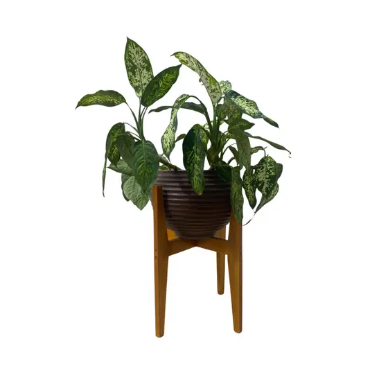 Suporte Cachepot P/ Vasos De Plantas Com Variações de Tamanhos.