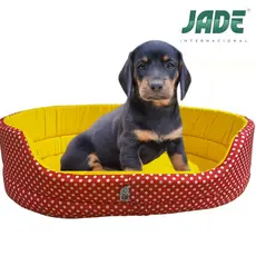 Cama pet para gato cachorro confortável lavável luxo caminha filhote adulto