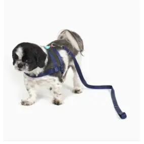 Peitoral para Cachorro Ajustável com Guia Grátis Tamanhos P e G Confortável e Seguro