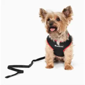 Peitoral Para Cachorro Com Guia Ajustável Mesh Confortável Respirável