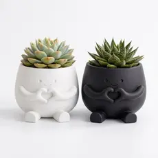 Vaso Decorativo Boneco de Suculenta | Vasinho Fofo Criativo para Decoração | Presente Romântico Moderno