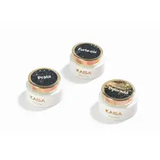 Spider Gel Kaisa Premium Color 5g Teia De Aranha Unha Desenhos Estilo Elástico para Decoração