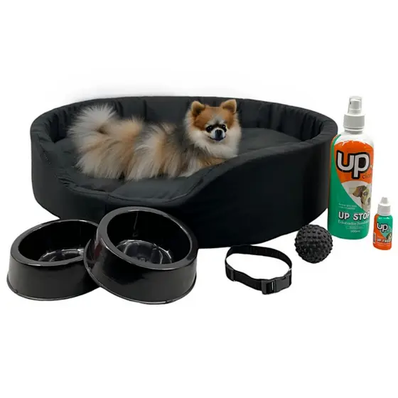 Kit Pet Pequeno Cama Europa Educador Xixi Sim/Não Cães 500ml