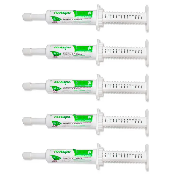 Kit 5 Probióticos & Prebióticos Para Cães e Gatos Recupera Flora Intestinal Diarreias 14g