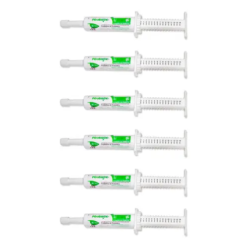 Kit 6 Prebiótico & Probiótico Pet Equilibra Flora Intestinal Diarreias Fezes Moles Dor Abdominal