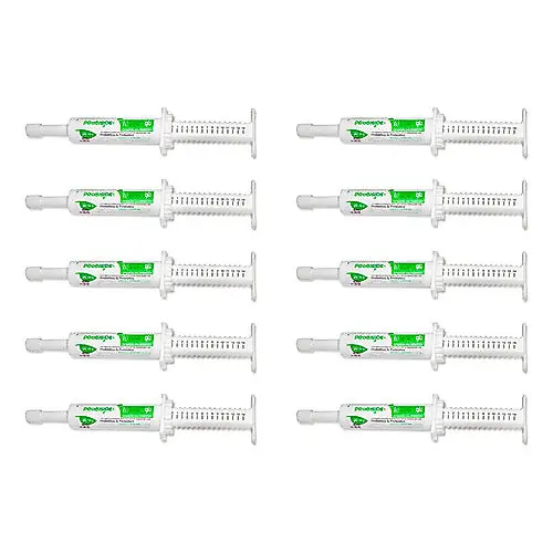 Kit 10 Probiótico & Prebiótico Para Cães Gatos Recupera Flora Intestinal 14g