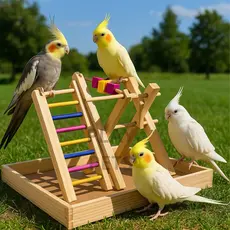 Brinquedo Playground L, Para Calopsita, Periquito, Hamster