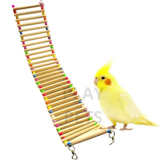 Ponte Escada 70CM para Calopsita, Papagaio, Aves