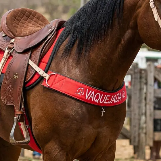 Peitoral Conjunto Cilha Cia Cavalo Vaquejada Bordado varias cores