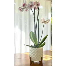 Vaso Cachepot Decorativo Vime Com Suporte Para Plantas Artificiais e Naturais
