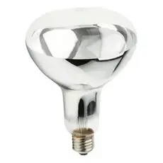 Kit 10 Lampadas Para Aquecer Batata Frita 250w 220v E27