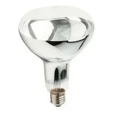 Lampada Para Aquecer Batata Frita 250w 220v E27