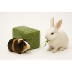 Feno 4kg Tifton Super Premium Coelho Porquinho da Índia Hamsters Gerbil Auxilia Desgaste Dentário e Digestão de Roedores