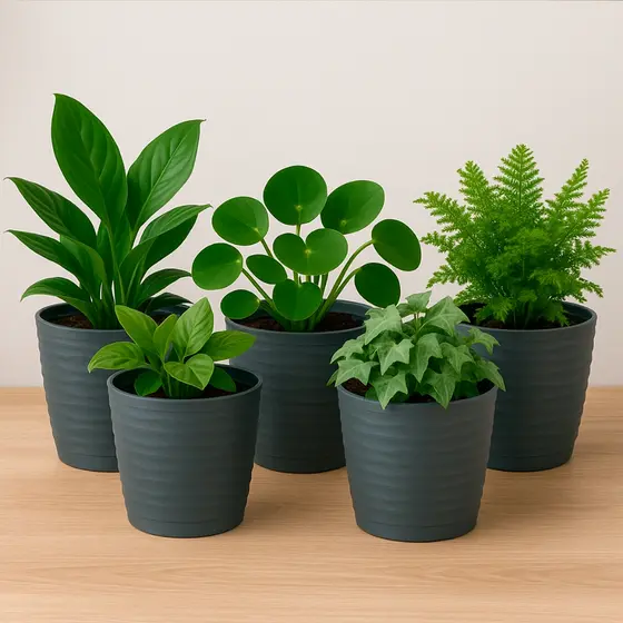 Kit 12 Vasos Jardineira Flor Planta Hortaliça Concreto Prato Anti Dengue DasPlast Plastico Reforçado