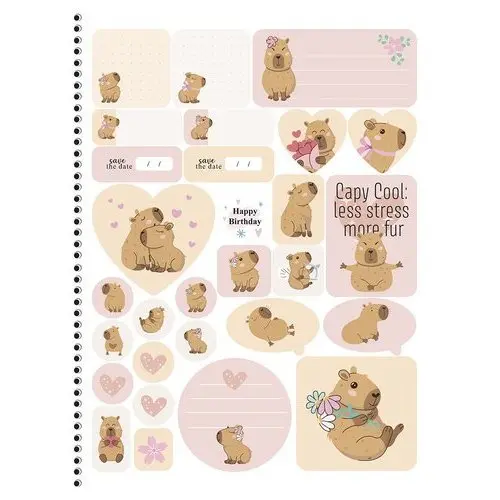 Caderno Espiral Universitário 80 Folhas Uma Matéria Capivara Design Sortido