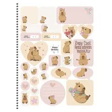 Caderno Espiral Universitário 80 Folhas Uma Matéria Capivara Design Sortido