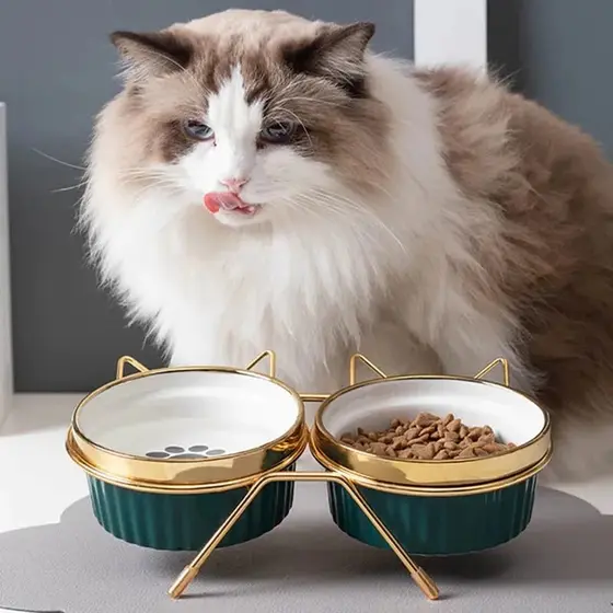 Comedouro Bebedouro Duplo Elevado Cerâmica Gatos Pet Persa