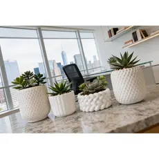 Kit 4 Vasinhos Decorativo em Gesso para Suculentas e Cactos - ENVIO FULL