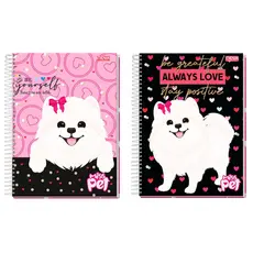 Kit 2 Cadernos Feminino 20 Mat. MISS PET  Capa Dura Escolar