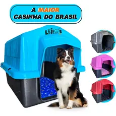 Casinha Cachorro Grande Casa Plástica Nº6 Com Colchonete