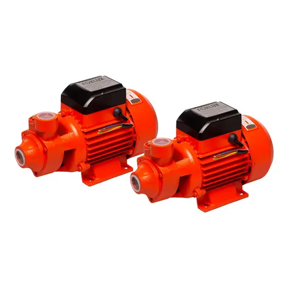 Kit 2 Bomba D’Água Periférica Foxlux 1CV 750W Bivolt | potência elevada, desempenho constante