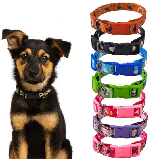 Coleira Identificação Pet Cachorro Regulável Estampada Pequeno Médio Grande Ajustável Segurança Passeio