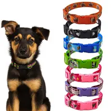 Coleira Identificação Pet Cachorro Regulável Estampada Pequeno Médio Grande Ajustável Segurança Passeio